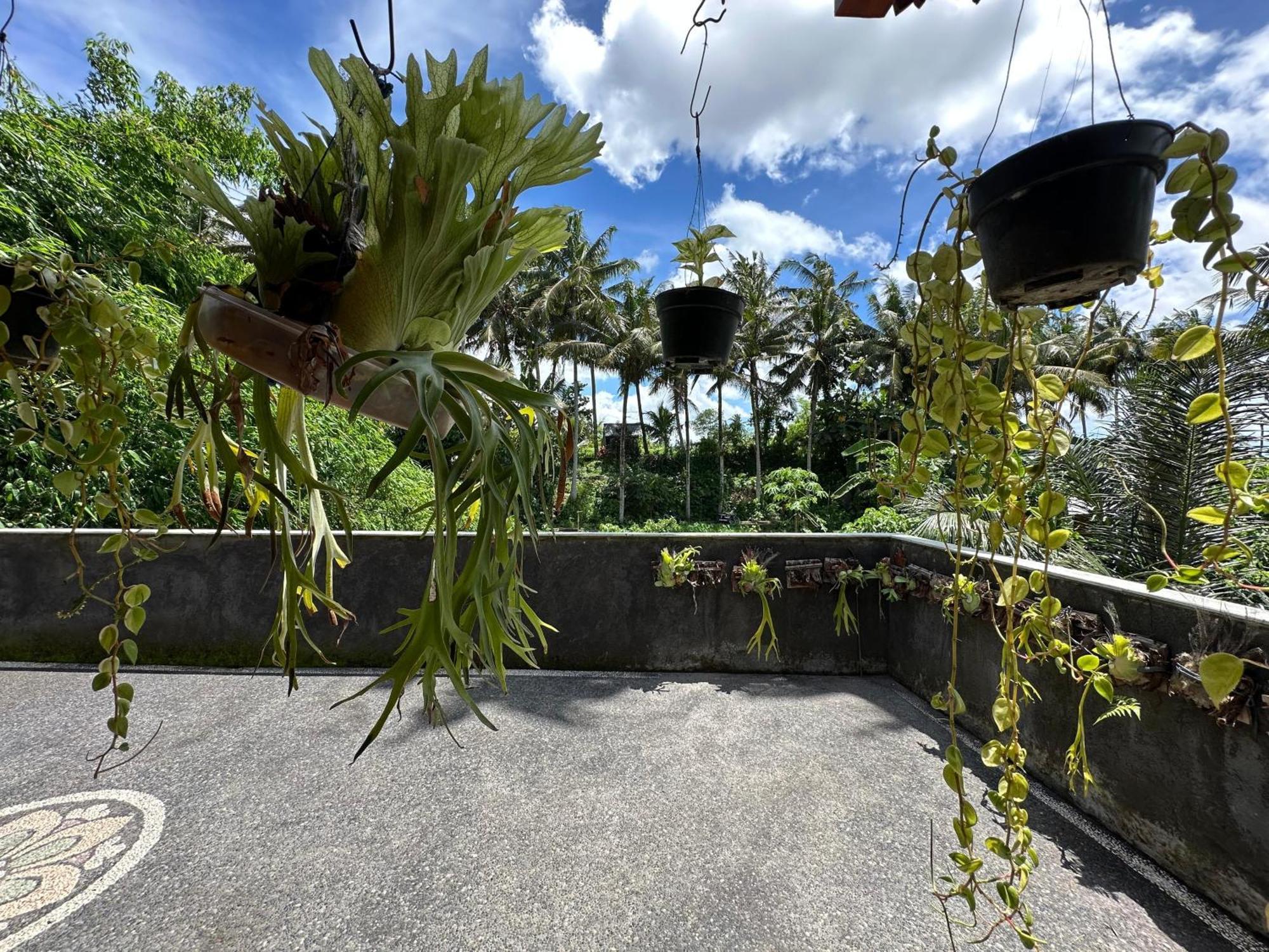 Hotel Tagel Karsa House Ubud Esterno foto