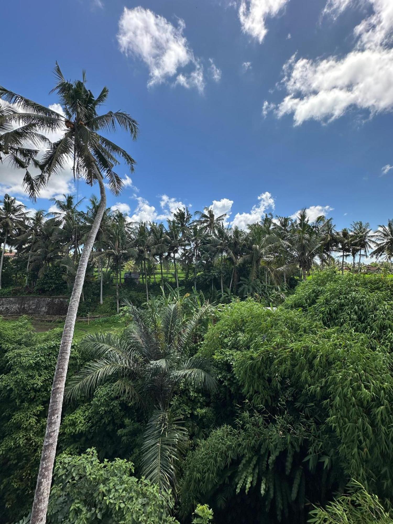 Hotel Tagel Karsa House Ubud Esterno foto